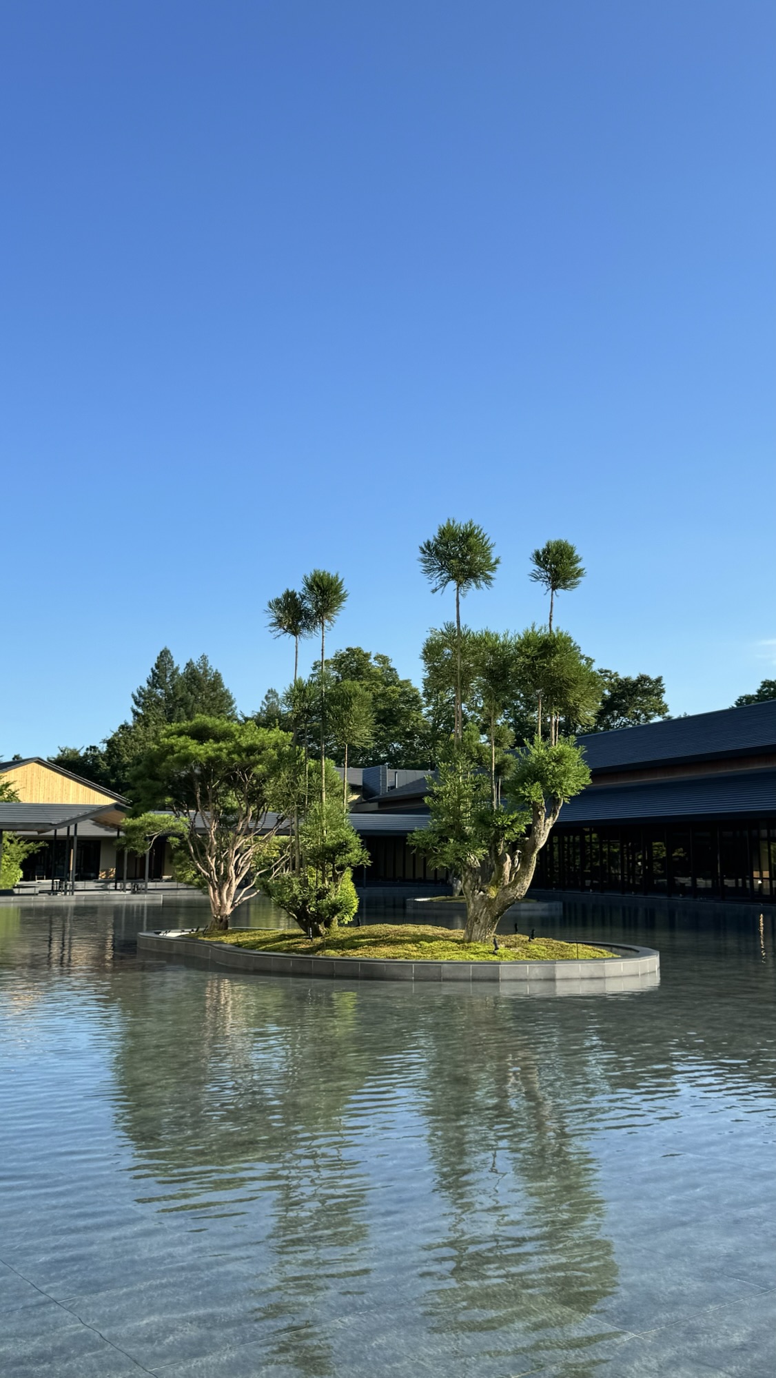 ROKU KYOTOの水盤と松