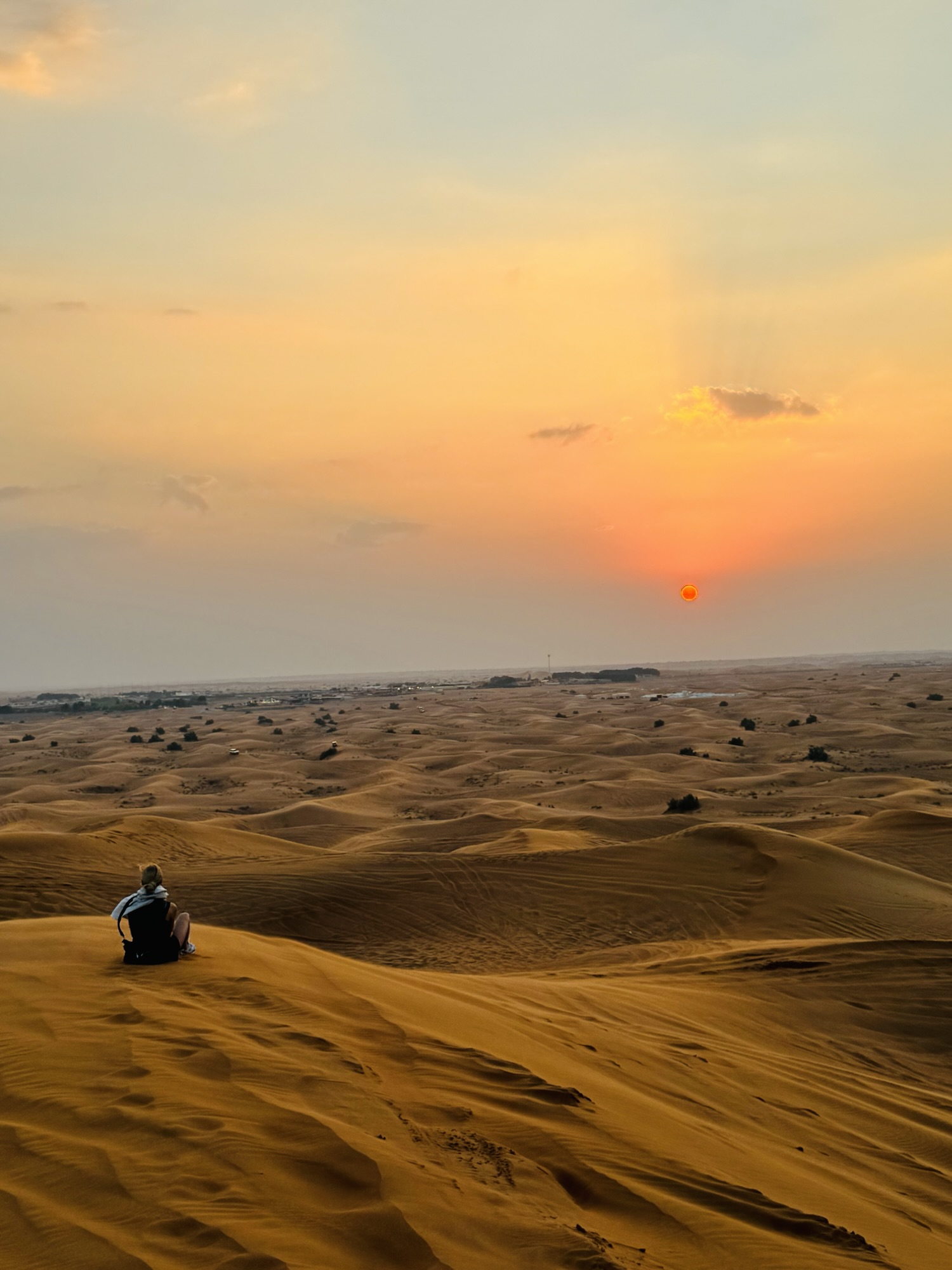 ドバイ デザートサファリ