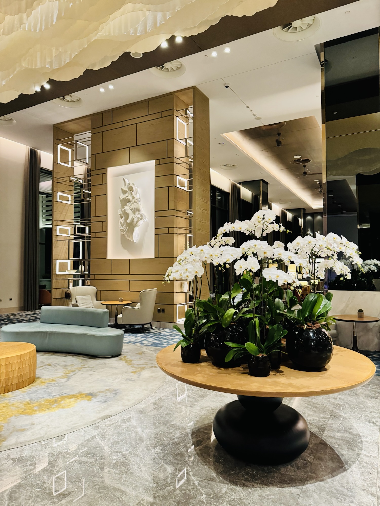 ロビーの胡蝶蘭