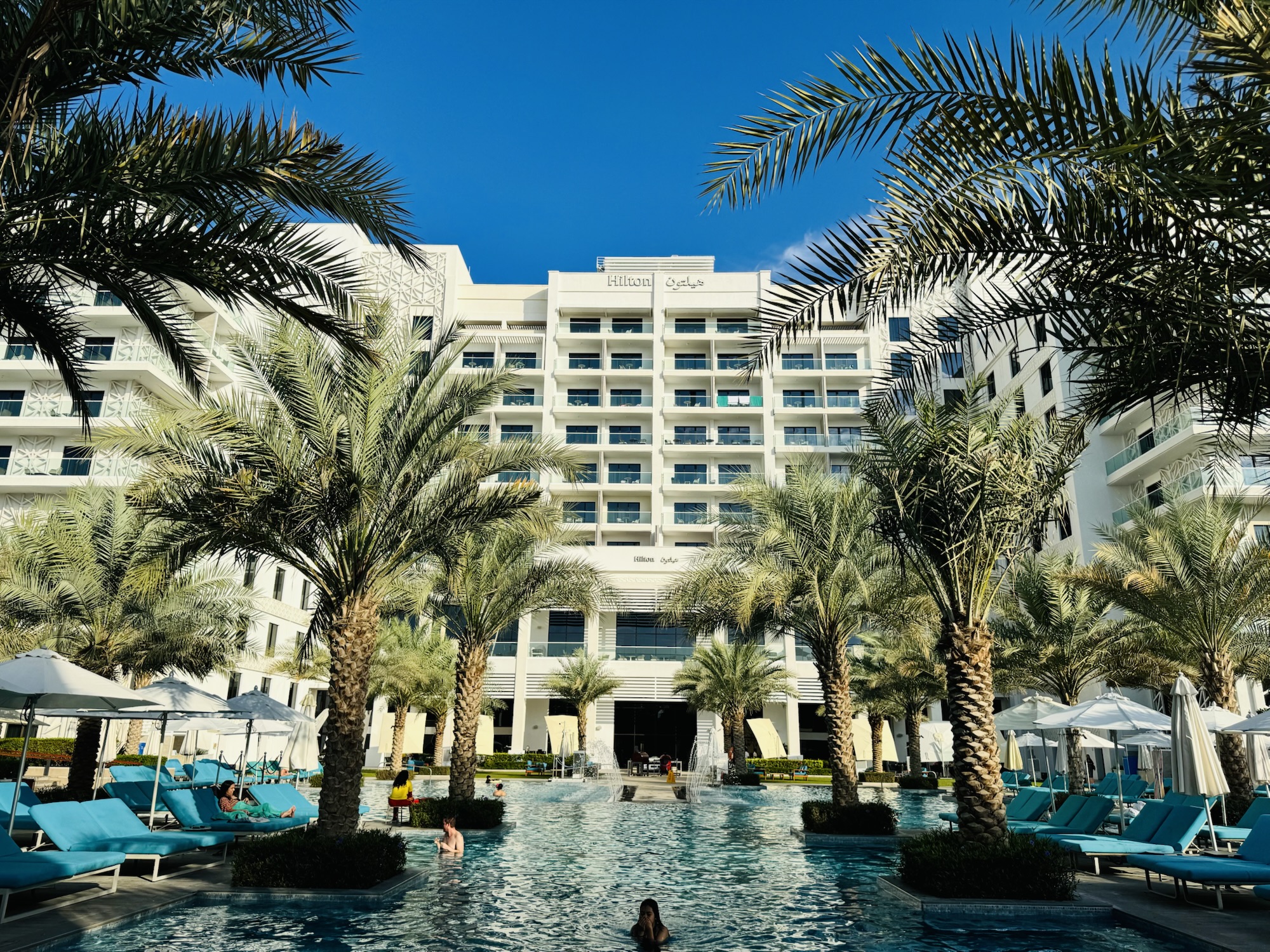 ヤシの木とプール