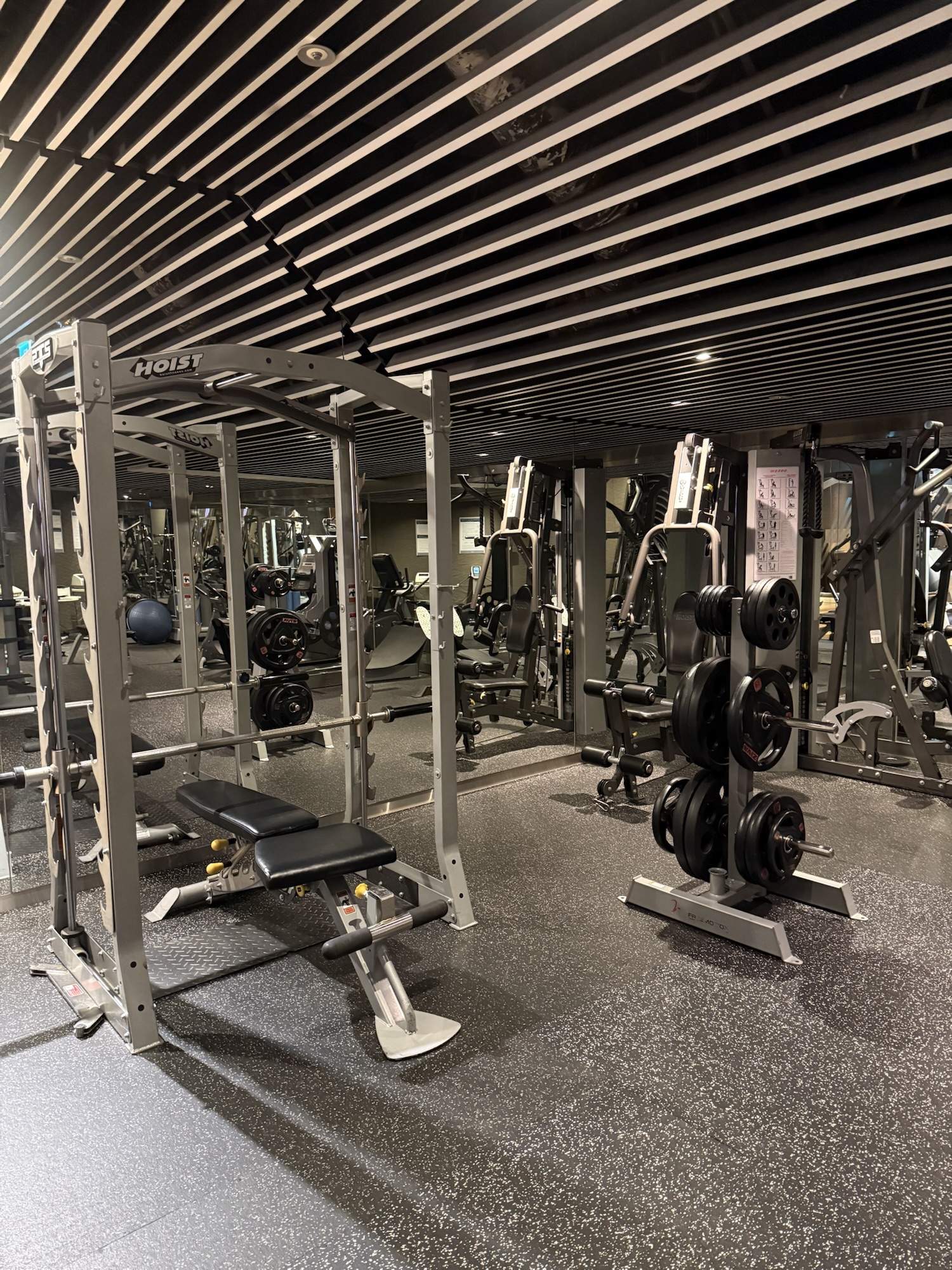 B1フィットネス、Hoistのウエイトマシン