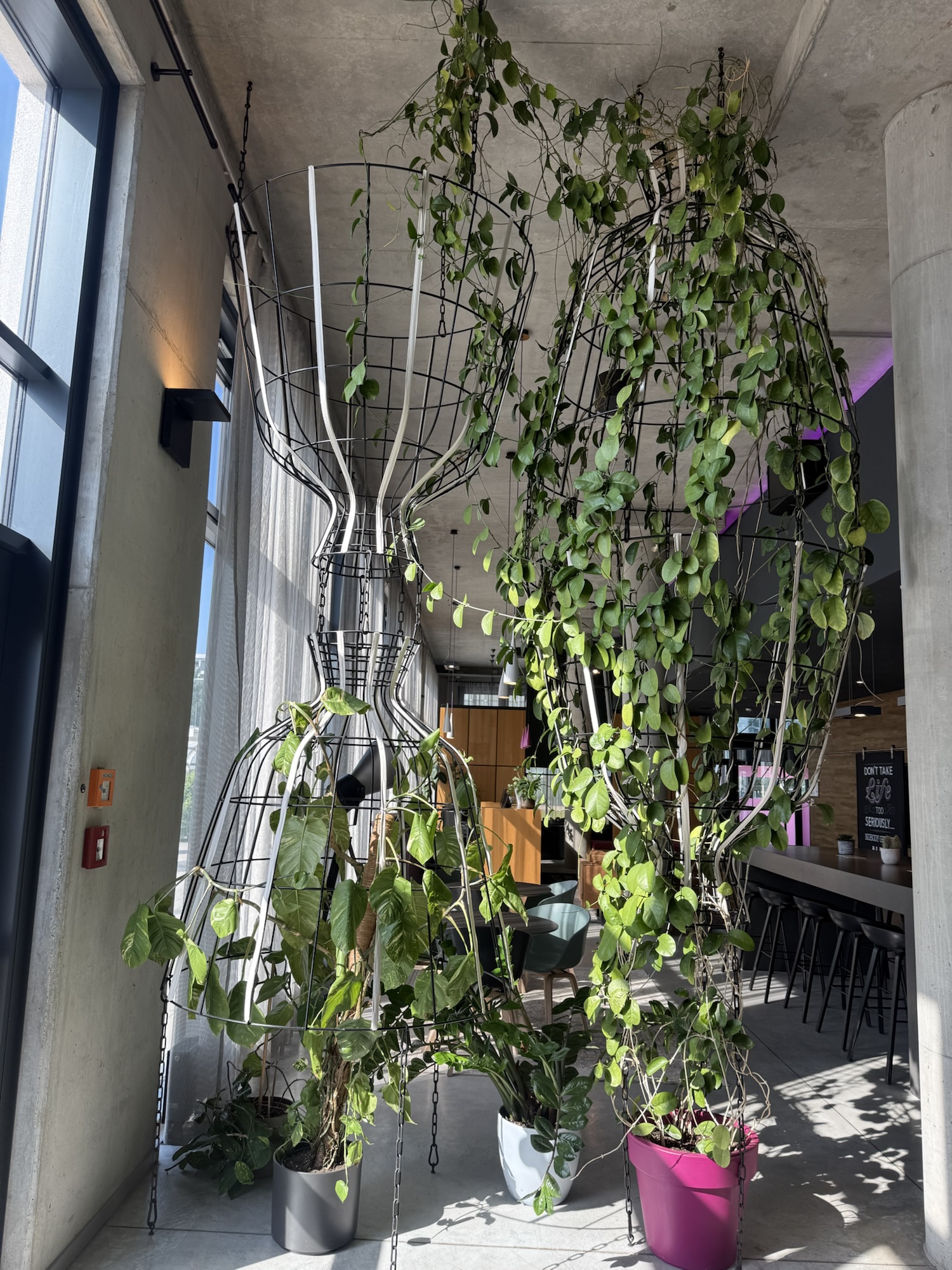 ロビーの植物トルソーオブジェ